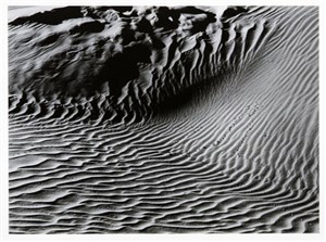 Image description is not available for 1974.006